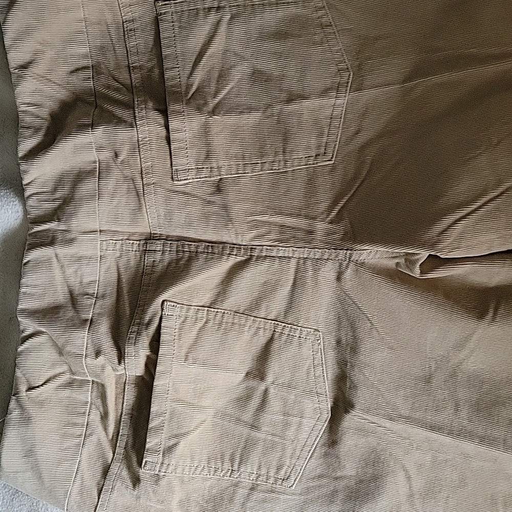 ColdwaterCreek elastic waist cords, size 16. - Picture 3 of 4